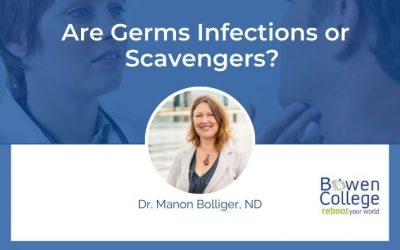 Are Germs Infections or Scavengers?